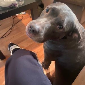 Meet your Posher, Lawrence